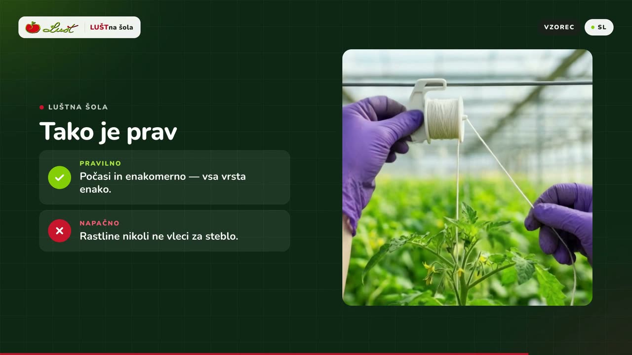 Temna kartica Tako je prav s kljukico za pravilno in križem za napačno